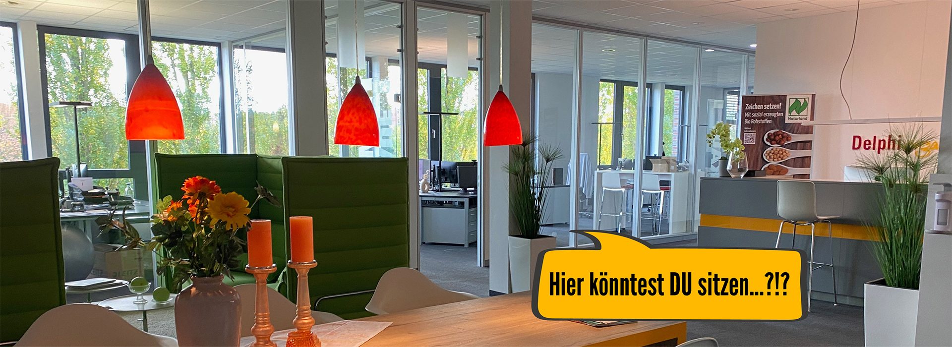 Header_Profil_Delphi